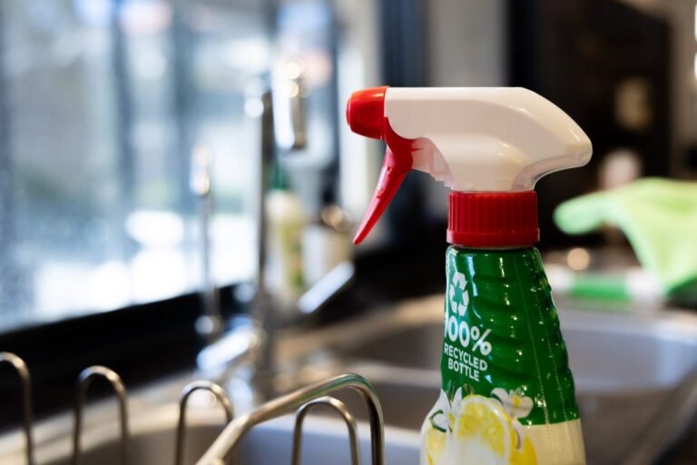Why Professional House Cleaning is So Essential