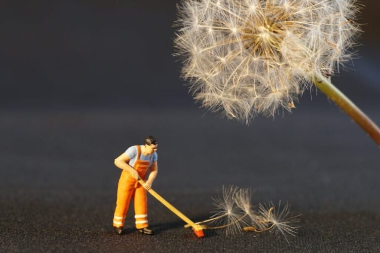 The Complete Guide to End of Lease Cleaning in Perth: Tips for a Hassle-Free Move